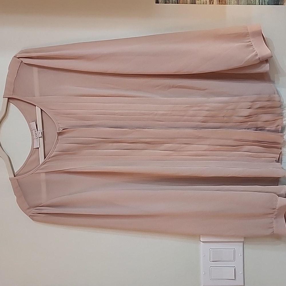 Ann Taylor Sheer Blouse